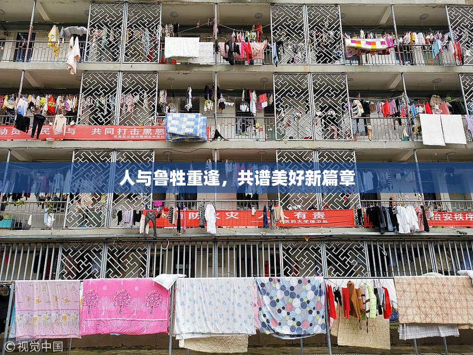 人与鲁牲重逢，共谱美好新篇章