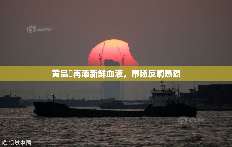 黄品匯再添新鲜血液，市场反响热烈