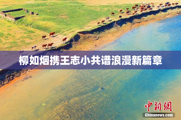 柳如烟携王志小共谱浪漫新篇章