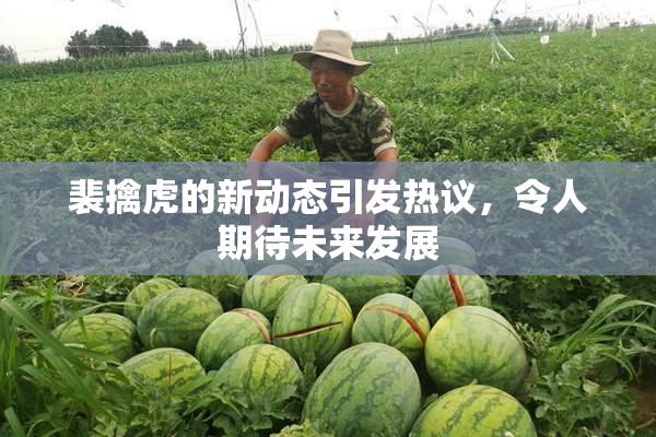 裴擒虎的新动态引发热议，令人期待未来发展