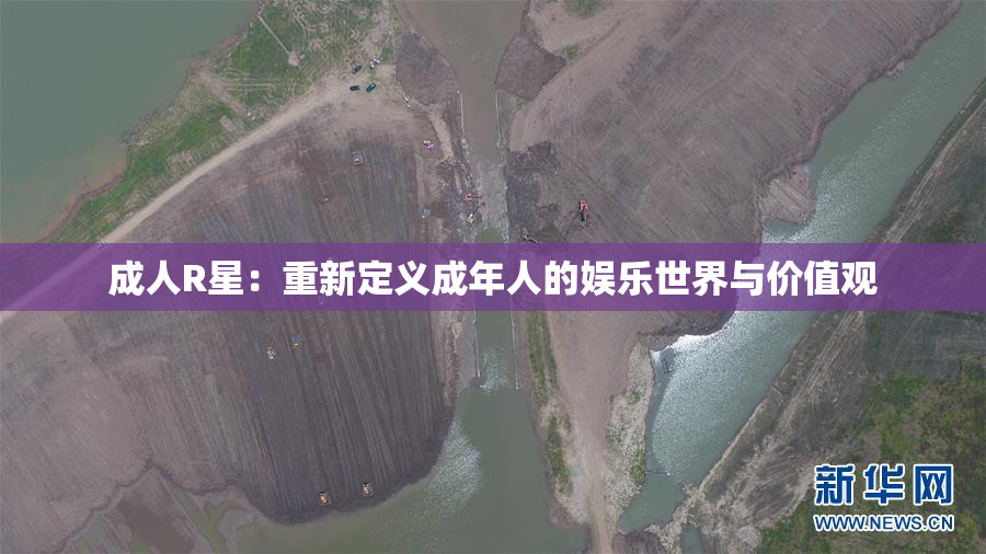 成人R星：重新定义成年人的娱乐世界与价值观