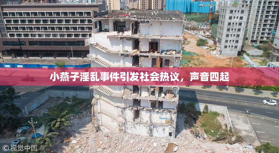 小燕子淫乱事件引发社会热议，声音四起
