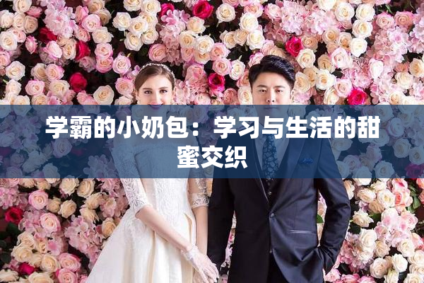 学霸的小奶包：学习与生活的甜蜜交织