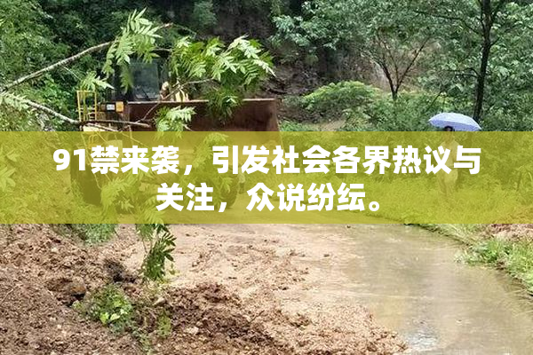 91禁来袭，引发社会各界热议与关注，众说纷纭。