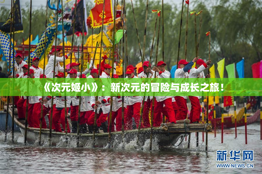 《次元姬小》：新次元的冒险与成长之旅！