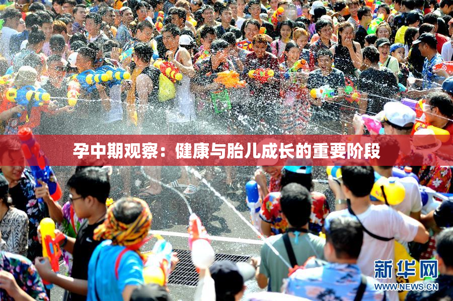 孕中期观察：健康与胎儿成长的重要阶段