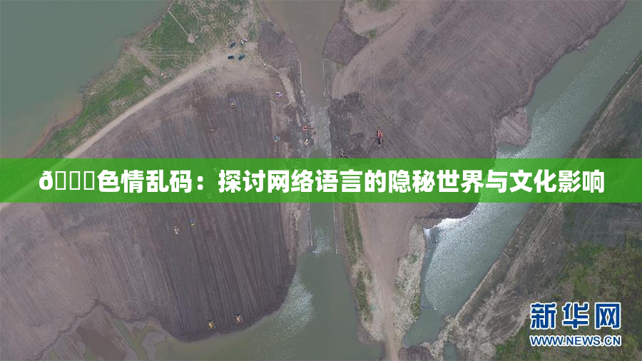 🔞色情乱码：探讨网络语言的隐秘世界与文化影响