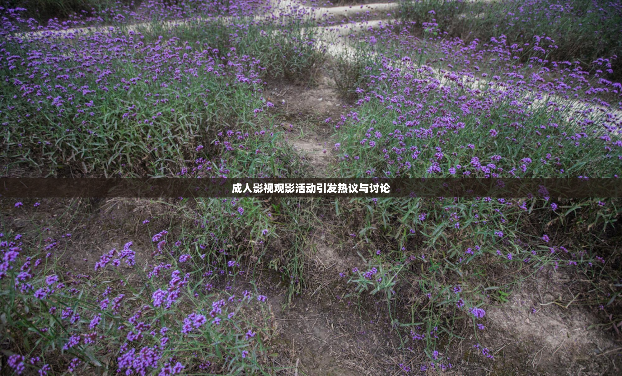 成人影视观影活动引发热议与讨论