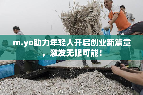 m.yo助力年轻人开启创业新篇章，激发无限可能！