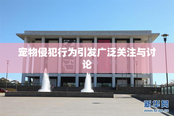 宠物侵犯行为引发广泛关注与讨论