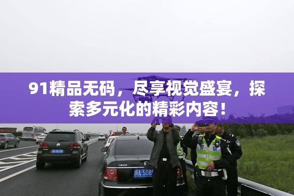 91精品无码，尽享视觉盛宴，探索多元化的精彩内容！