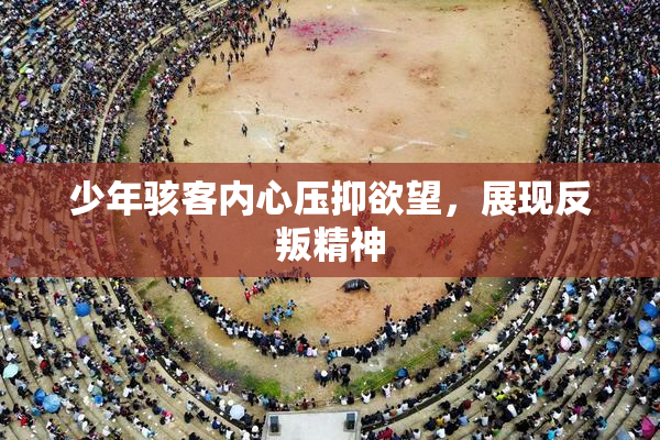 少年骇客内心压抑欲望，展现反叛精神