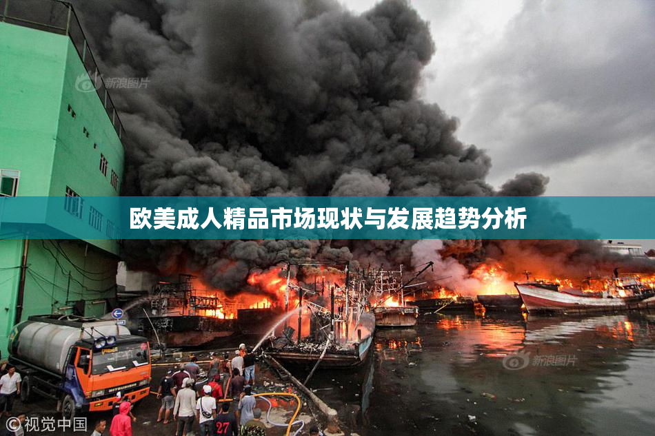欧美成人精品市场现状与发展趋势分析