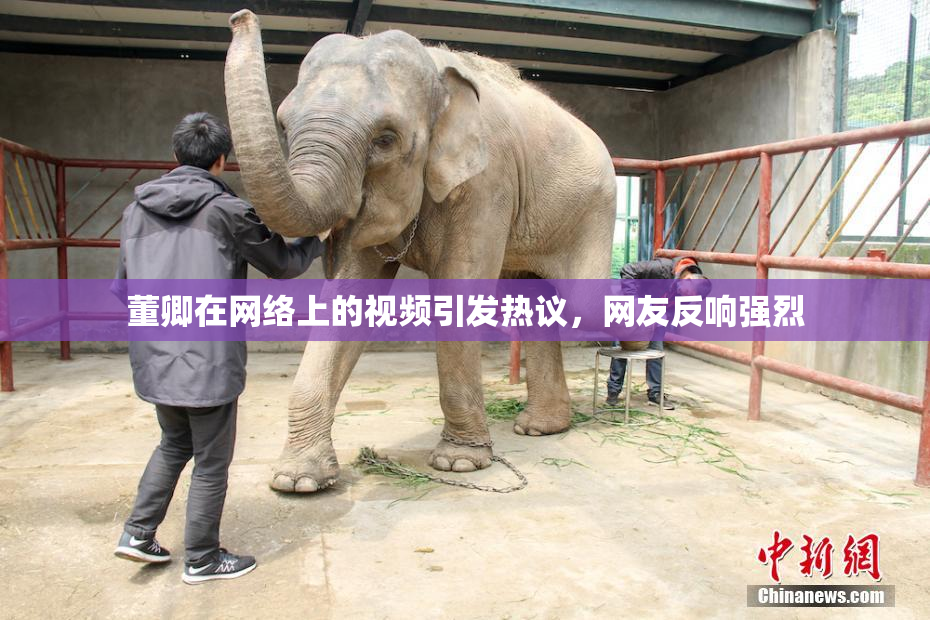 董卿在网络上的视频引发热议，网友反响强烈