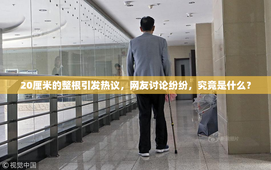 20厘米的整根引发热议，网友讨论纷纷，究竟是什么？