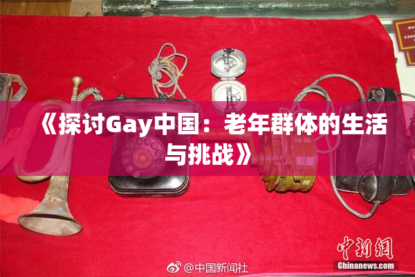 《探讨Gay中国：老年群体的生活与挑战》