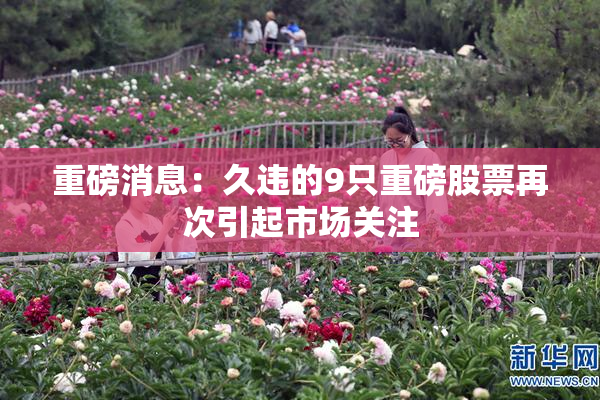 重磅消息：久违的9只重磅股票再次引起市场关注
