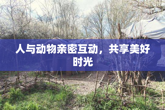 人与动物亲密互动，共享美好时光