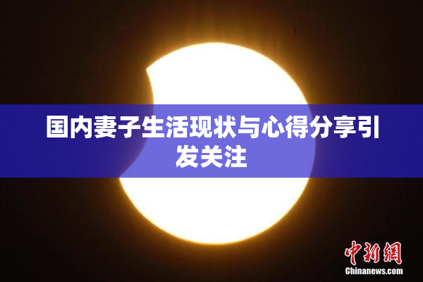 国内妻子生活现状与心得分享引发关注