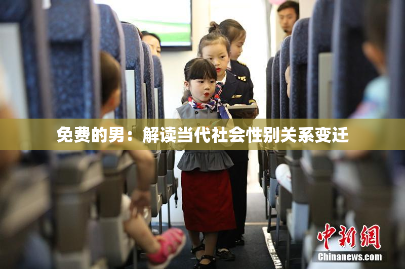 免费的男：解读当代社会性别关系变迁