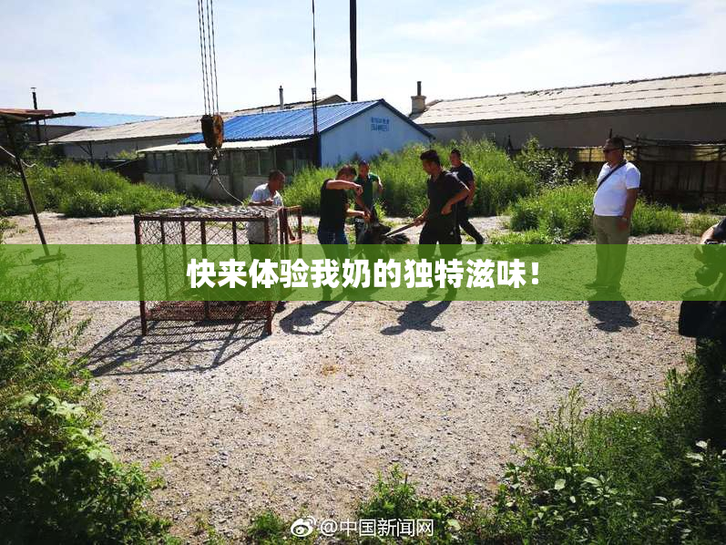 快来体验我奶的独特滋味！
