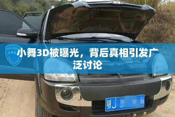 小舞3D被曝光，背后真相引发广泛讨论