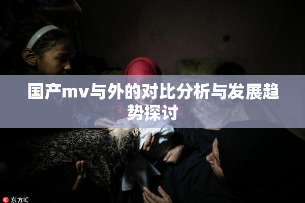 国产mv与外的对比分析与发展趋势探讨
