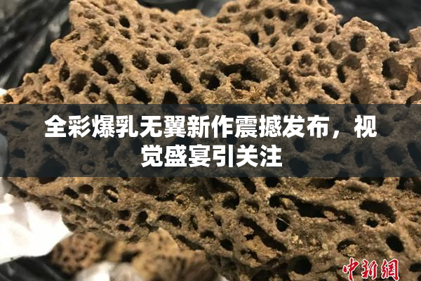 全彩爆乳无翼新作震撼发布，视觉盛宴引关注