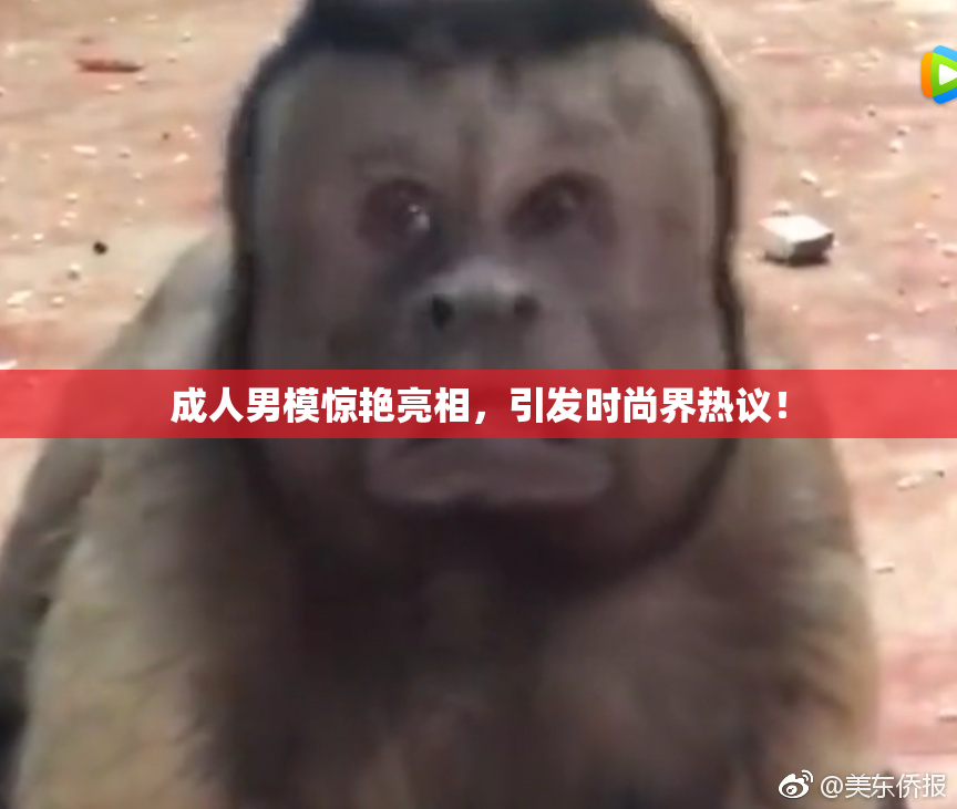 成人男模惊艳亮相，引发时尚界热议！