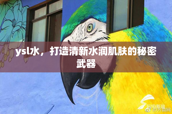 ysl水，打造清新水润肌肤的秘密武器