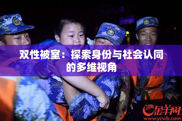 双性被室：探索身份与社会认同的多维视角