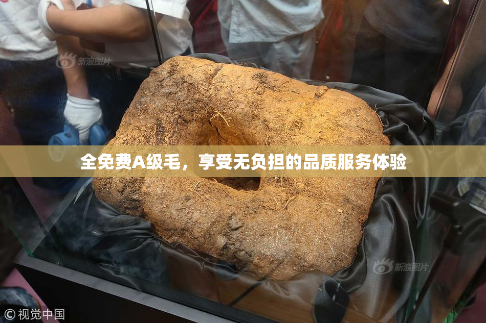全免费A级毛，享受无负担的品质服务体验