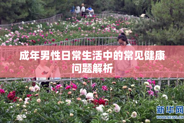 成年男性日常生活中的常见健康问题解析