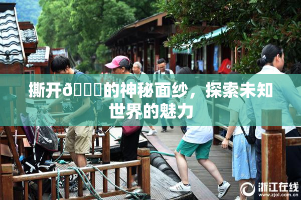 撕开👙的神秘面纱，探索未知世界的魅力
