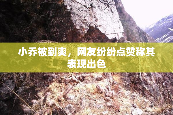 小乔被到爽，网友纷纷点赞称其表现出色