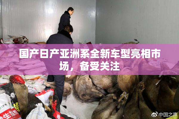 国产日产亚洲系全新车型亮相市场，备受关注
