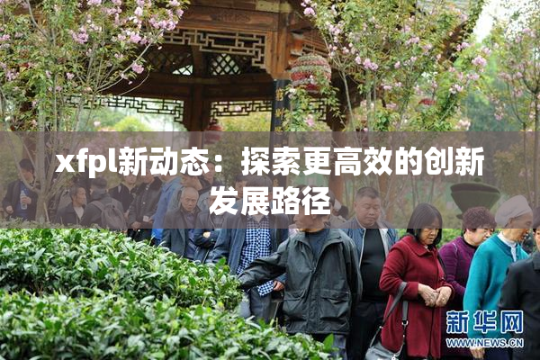 xfpl新动态：探索更高效的创新发展路径