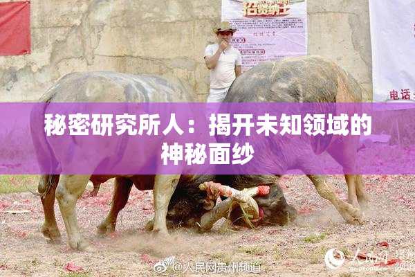 秘密研究所人：揭开未知领域的神秘面纱