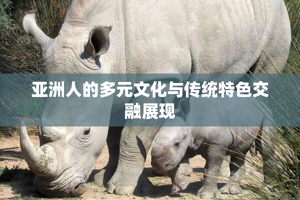 亚洲人的多元文化与传统特色交融展现