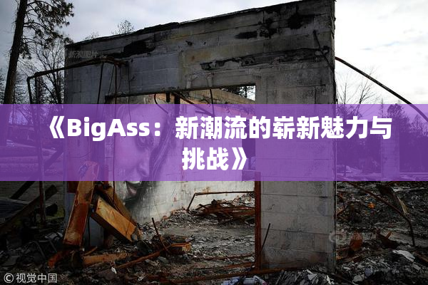 《BigAss：新潮流的崭新魅力与挑战》