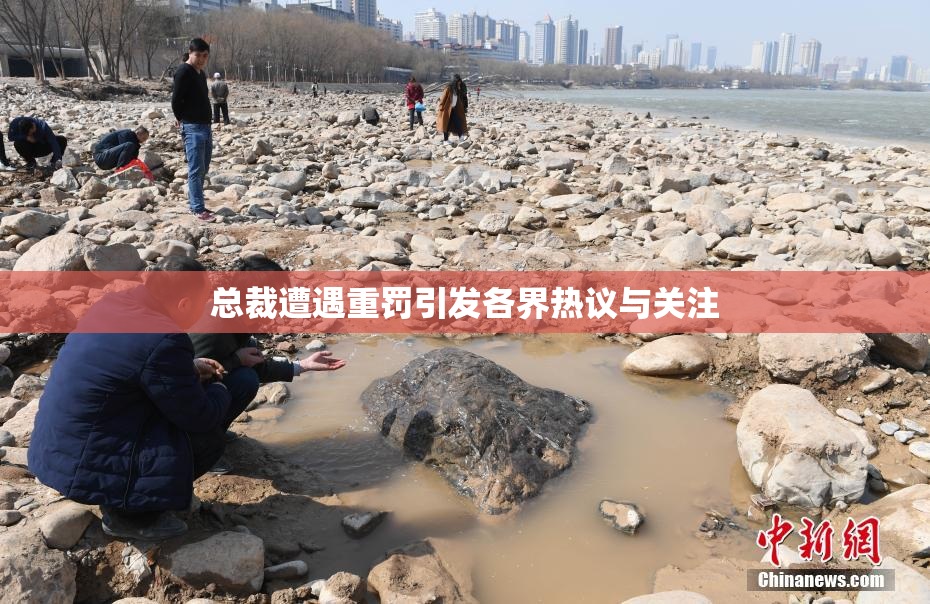 总裁遭遇重罚引发各界热议与关注