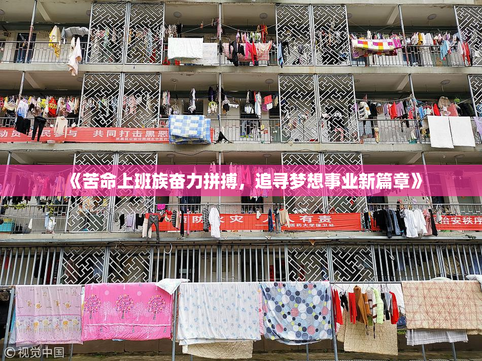 《苦命上班族奋力拼搏，追寻梦想事业新篇章》