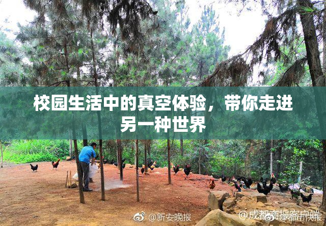 校园生活中的真空体验，带你走进另一种世界
