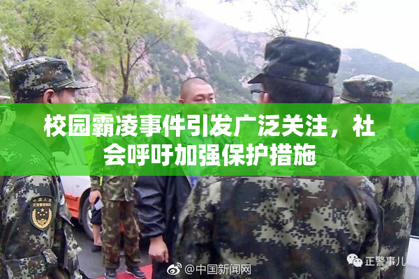 校园霸凌事件引发广泛关注，社会呼吁加强保护措施