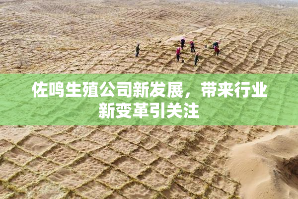 佐鸣生殖公司新发展，带来行业新变革引关注