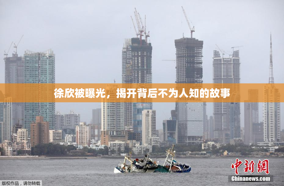 徐欣被曝光，揭开背后不为人知的故事