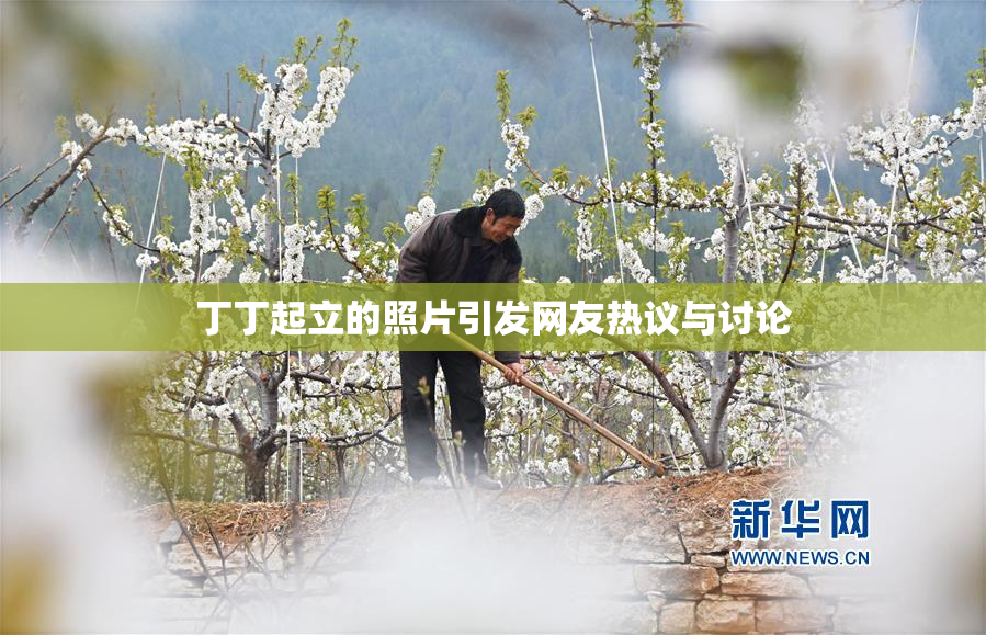 丁丁起立的照片引发网友热议与讨论