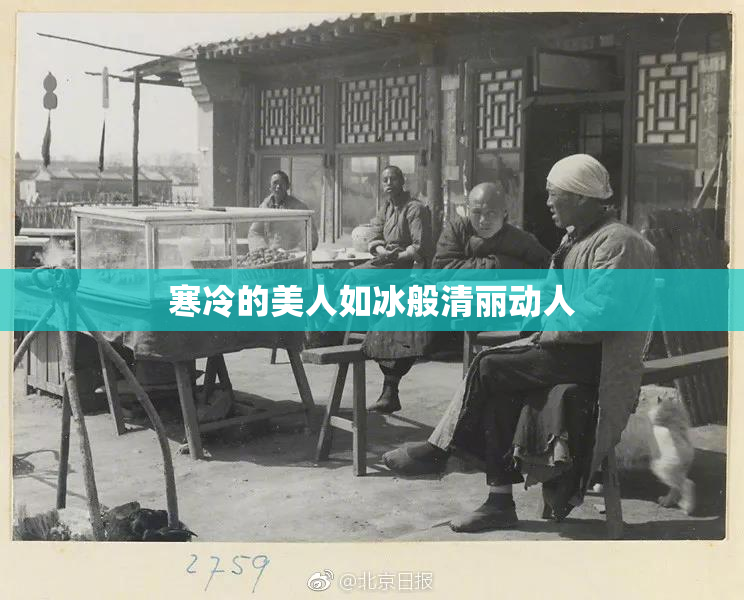 寒冷的美人如冰般清丽动人