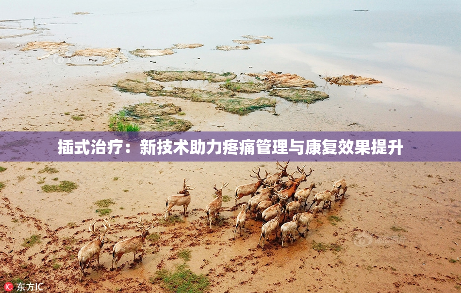 插式治疗：新技术助力疼痛管理与康复效果提升