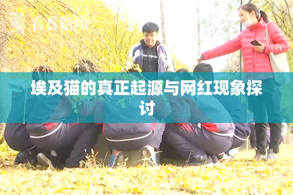 埃及猫的真正起源与网红现象探讨